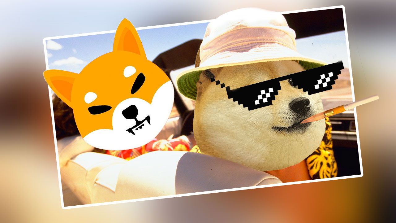 Shiba Inu, Dogecoin