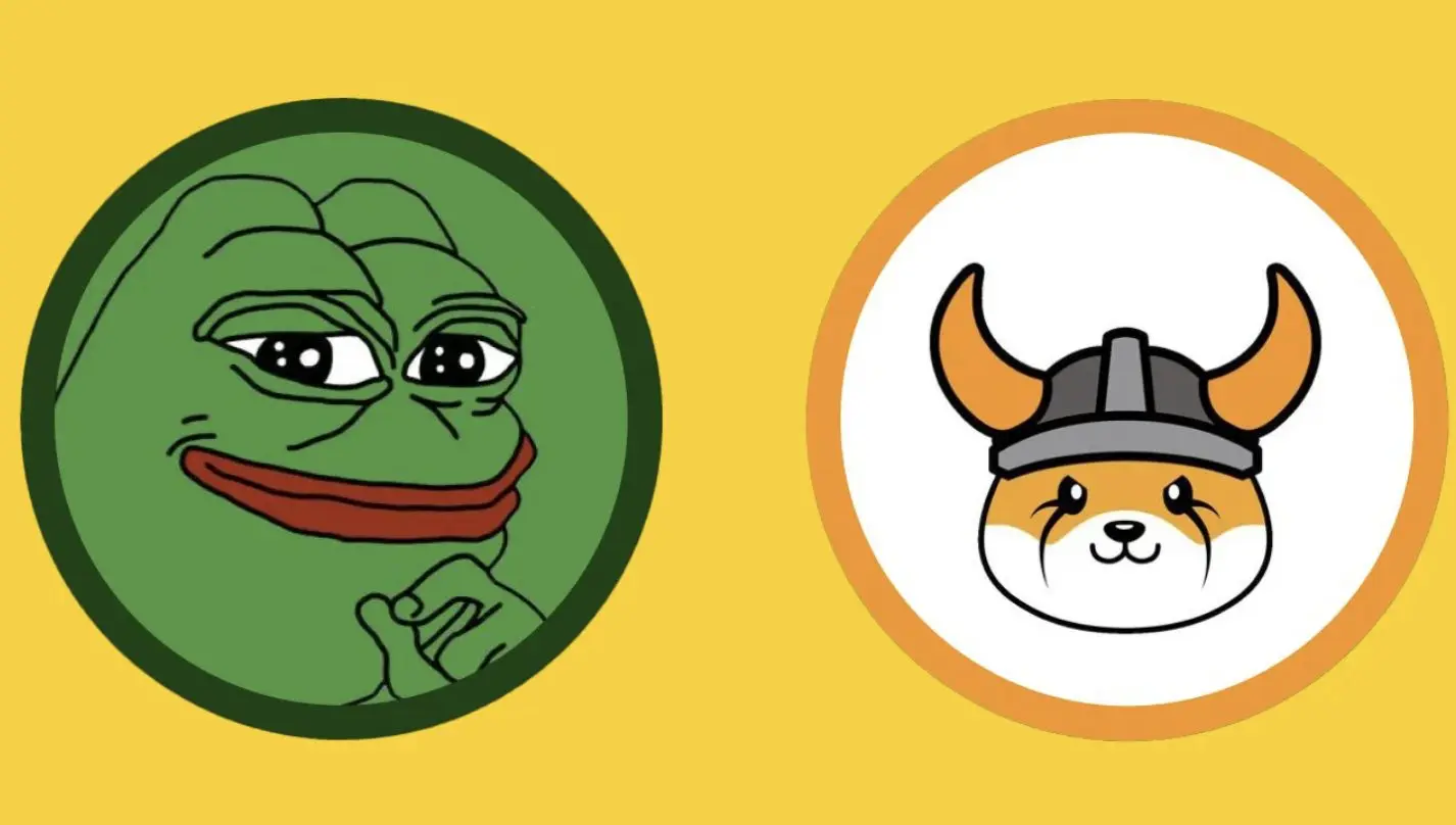 pepe and floki