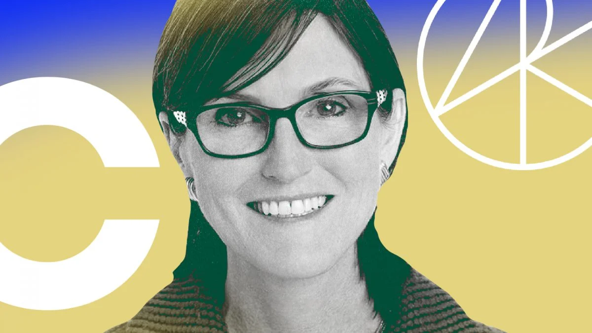 Cathie Wood a digitális pénztárcák háborújáról beszélt