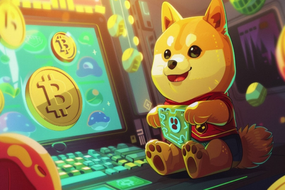 PlayDoge