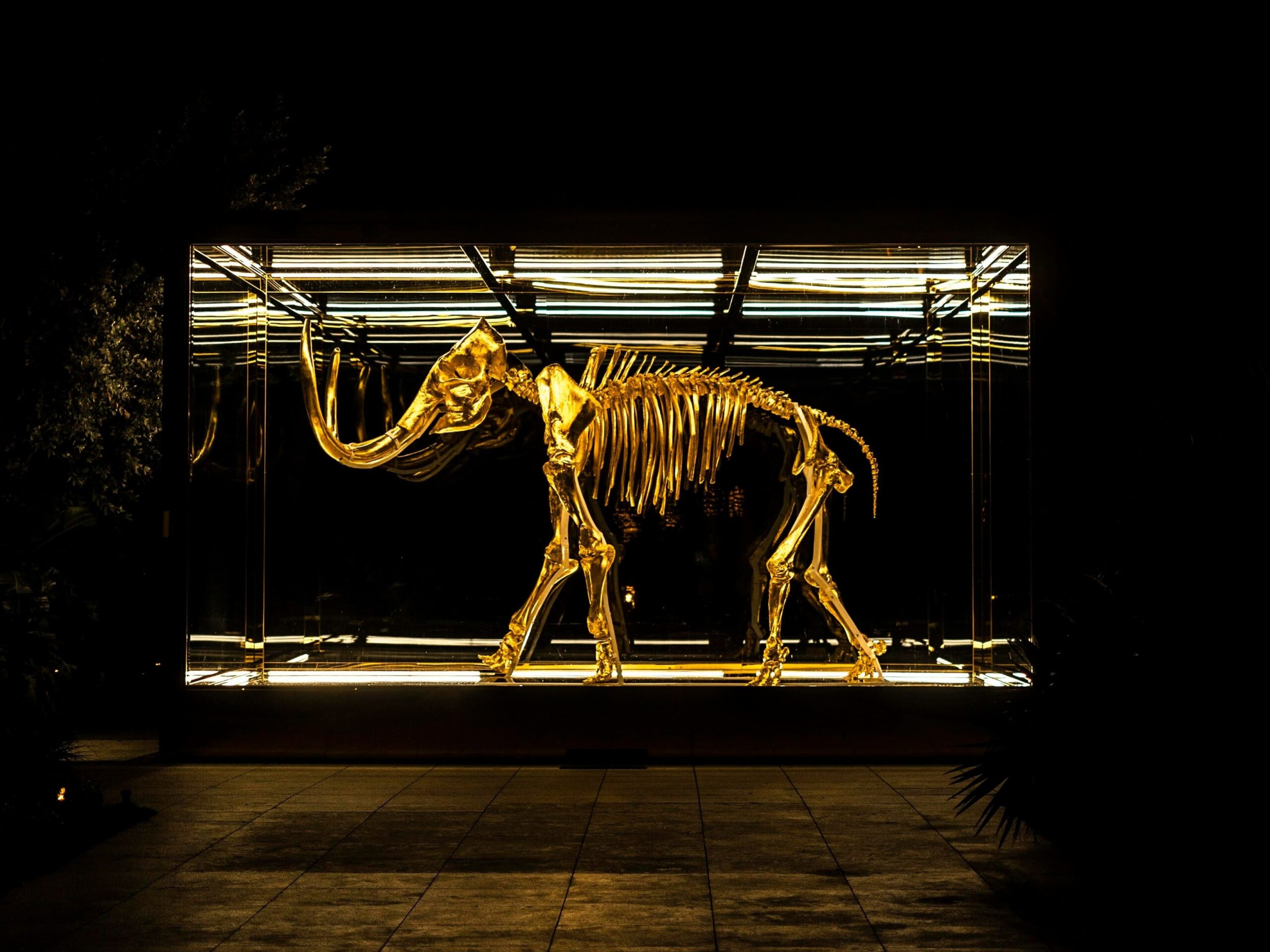 mamut, kutatók, éves, DNS, szibéria