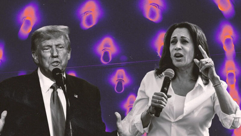 Trump és Harris