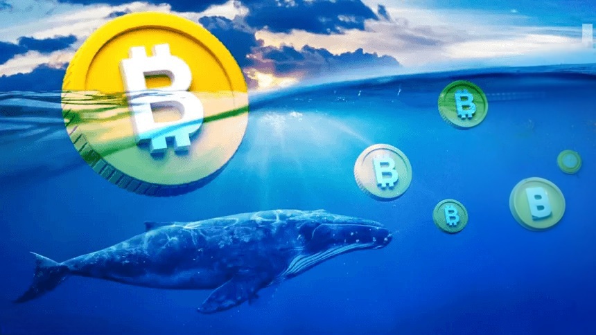 Bitcoin bálna tranzakciók