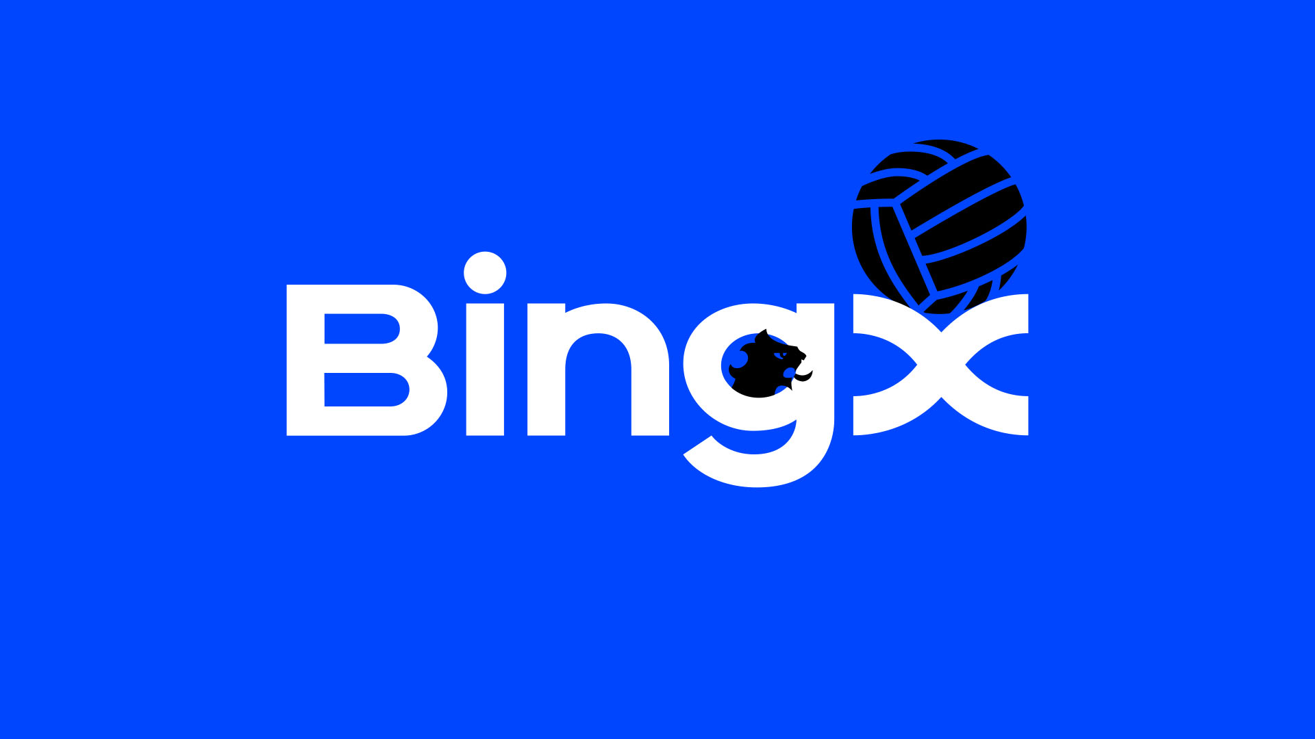 BingX hackerek