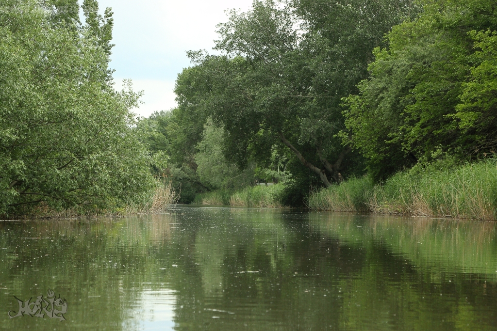Duna-Tisza csatorna
