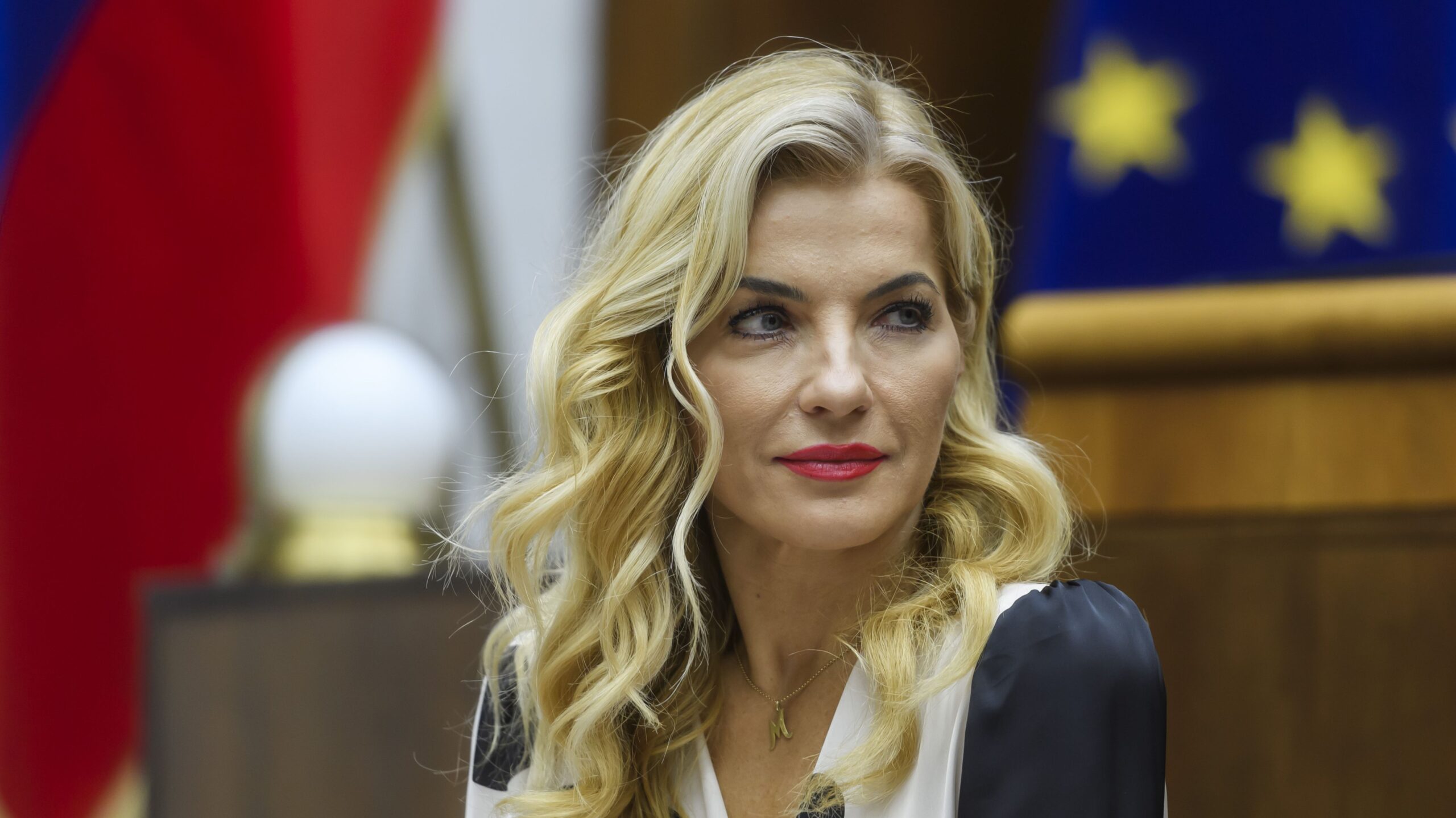 Szlovák nyelvtörvény