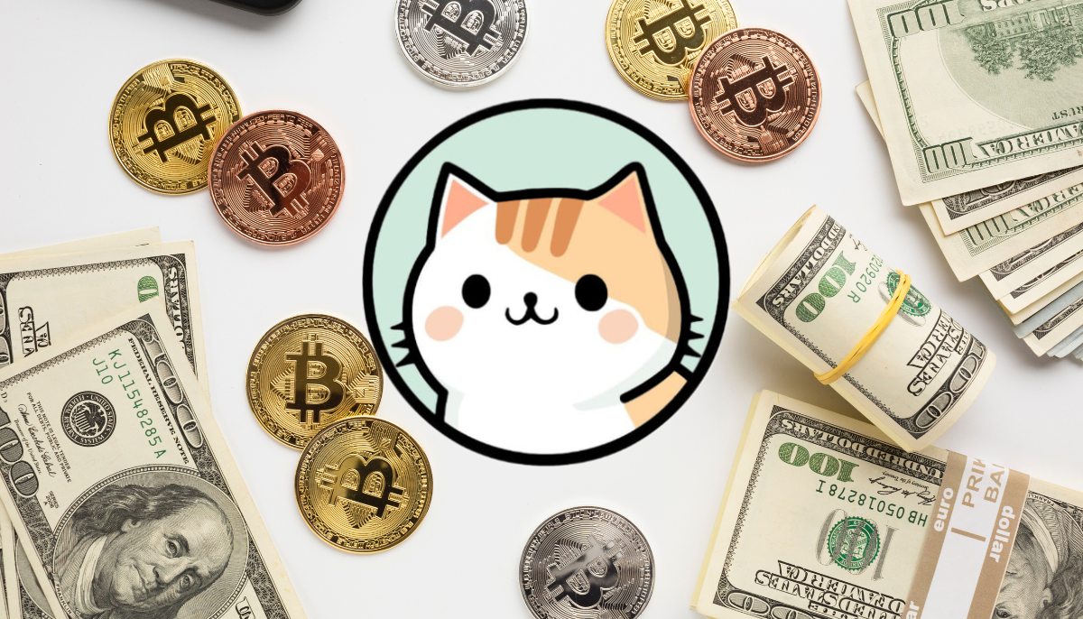 ZDEX kriptobefektetés