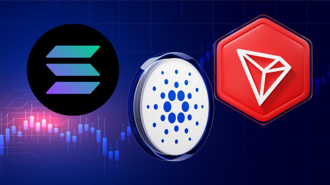 changenow platformon