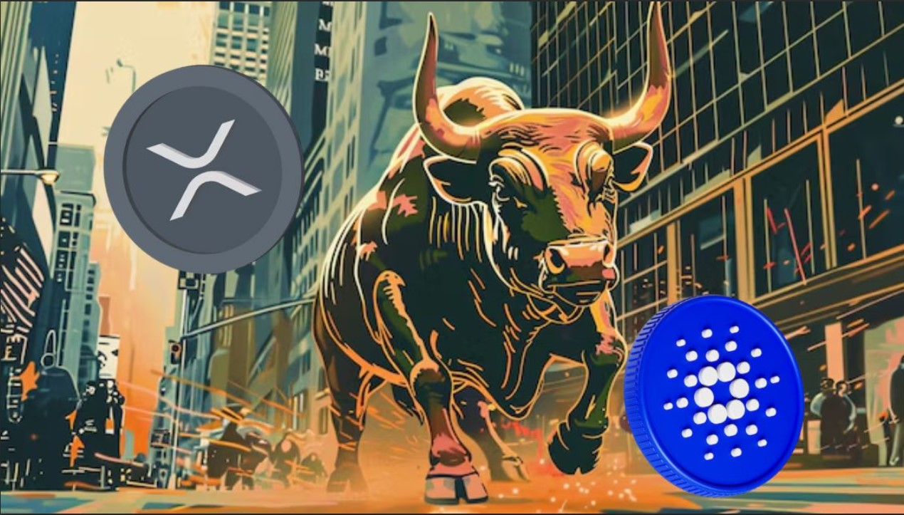 XYZ XRP ADA