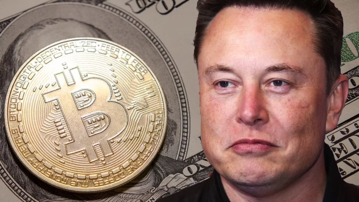 Elon Musk Bitcoin növekedés