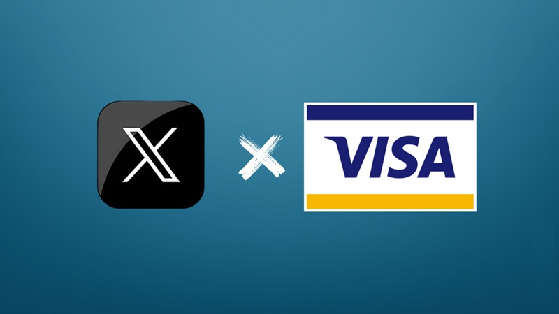 Elon Musk X Visa