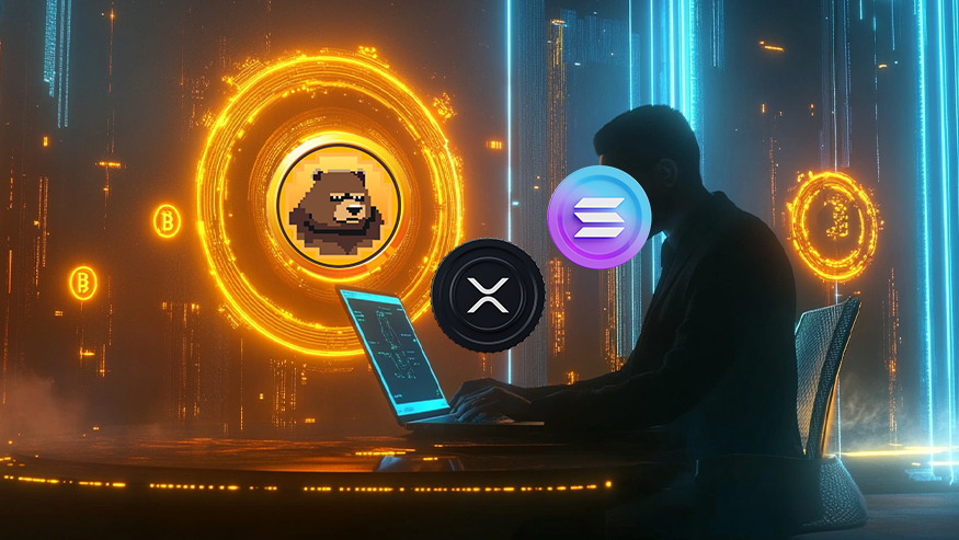 cryptoquant vezérigazgató, hatalmas nyereség, beerbear, solana, xrp