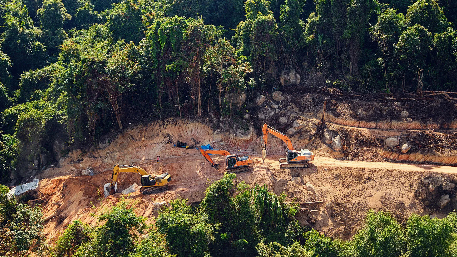 Amazonas esőerdő irtás