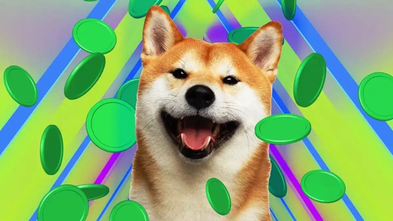 Dogecoin kriptók
