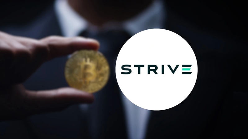 Vagyonkezelő Strive Mt. Gox